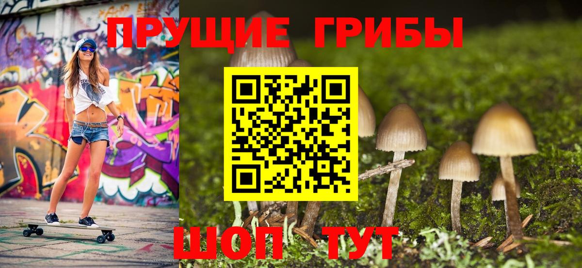 Псилоцибиновые грибы прущие грибы  Вход с VPN  Гулькевичи 
