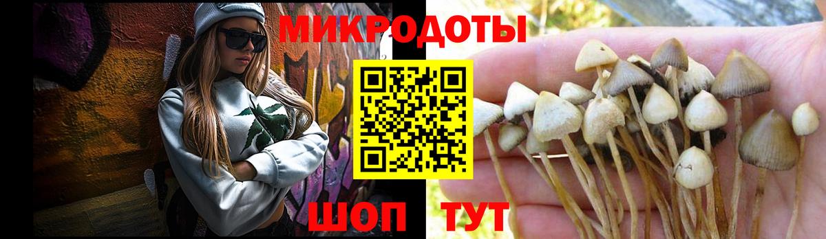 Псилоцибиновые грибы GOLDEN TEACHER Гулькевичи